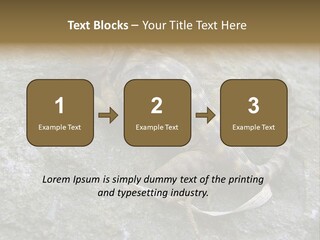 Tail Lizard Crotaphytus Collaris PowerPoint Template