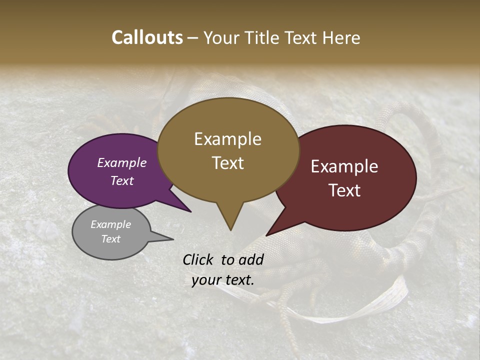 Tail Lizard Crotaphytus Collaris PowerPoint Template