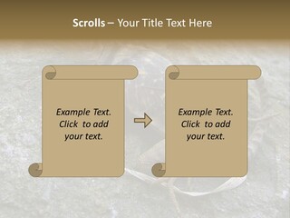 Tail Lizard Crotaphytus Collaris PowerPoint Template