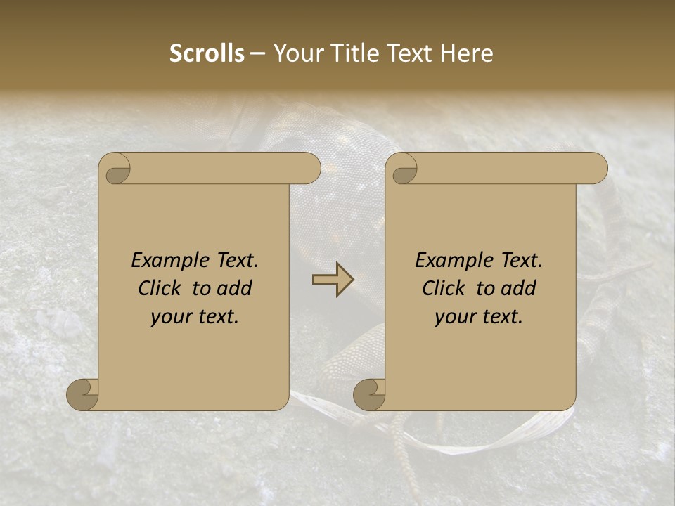 Tail Lizard Crotaphytus Collaris PowerPoint Template