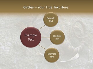 Tail Lizard Crotaphytus Collaris PowerPoint Template