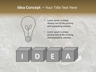 Tail Lizard Crotaphytus Collaris PowerPoint Template