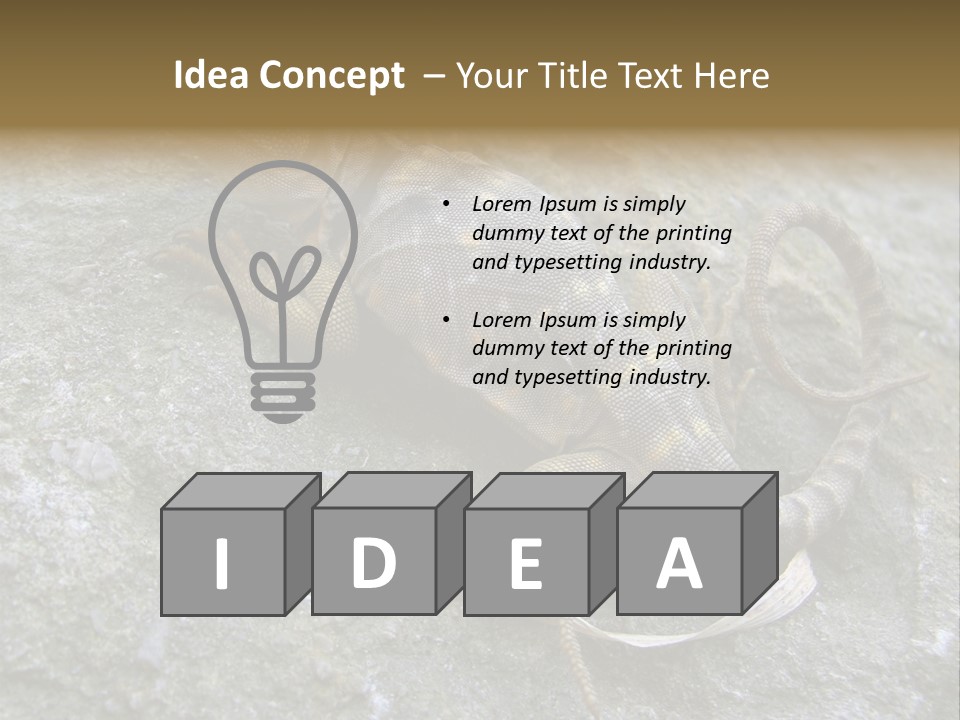 Tail Lizard Crotaphytus Collaris PowerPoint Template