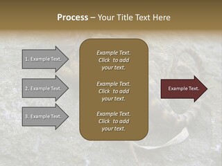 Tail Lizard Crotaphytus Collaris PowerPoint Template