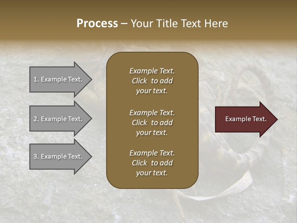 Tail Lizard Crotaphytus Collaris PowerPoint Template