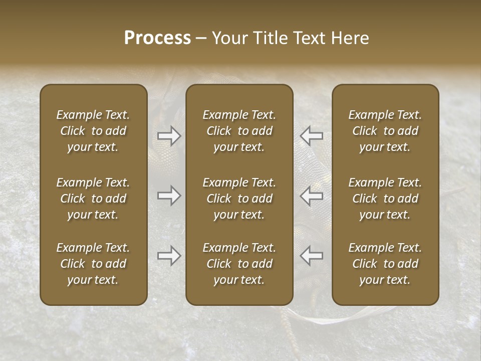 Tail Lizard Crotaphytus Collaris PowerPoint Template