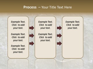 Tail Lizard Crotaphytus Collaris PowerPoint Template