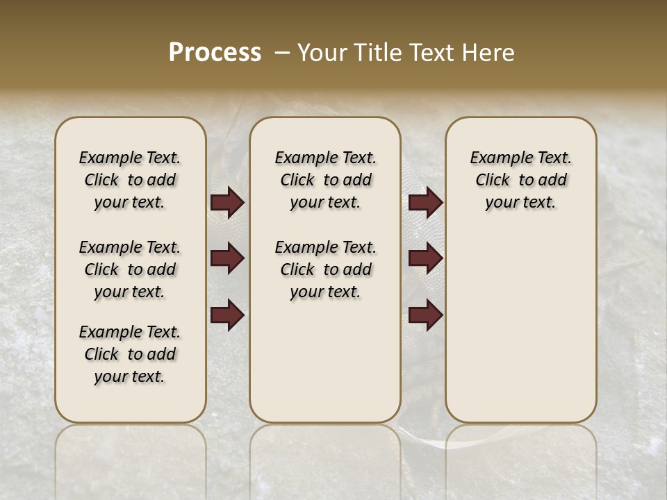 Tail Lizard Crotaphytus Collaris PowerPoint Template