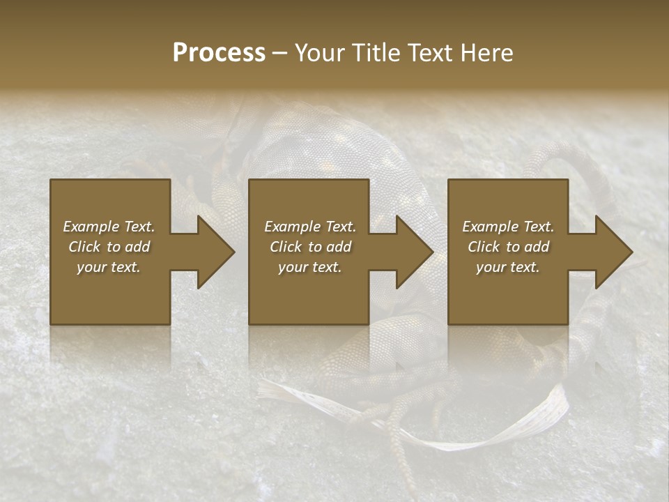 Tail Lizard Crotaphytus Collaris PowerPoint Template