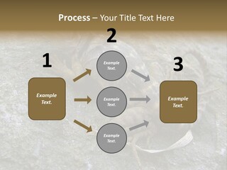 Tail Lizard Crotaphytus Collaris PowerPoint Template