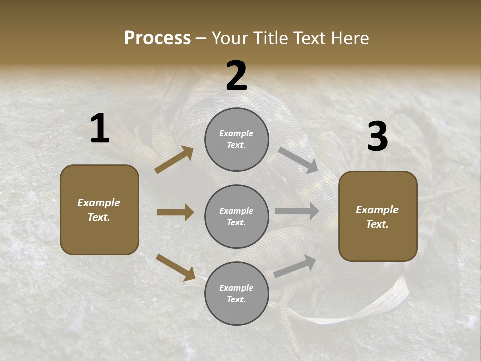 Tail Lizard Crotaphytus Collaris PowerPoint Template