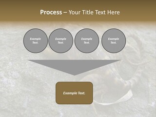 Tail Lizard Crotaphytus Collaris PowerPoint Template