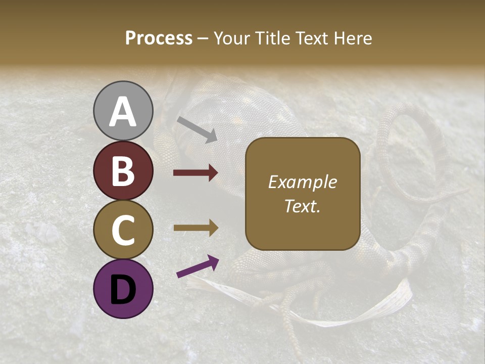 Tail Lizard Crotaphytus Collaris PowerPoint Template