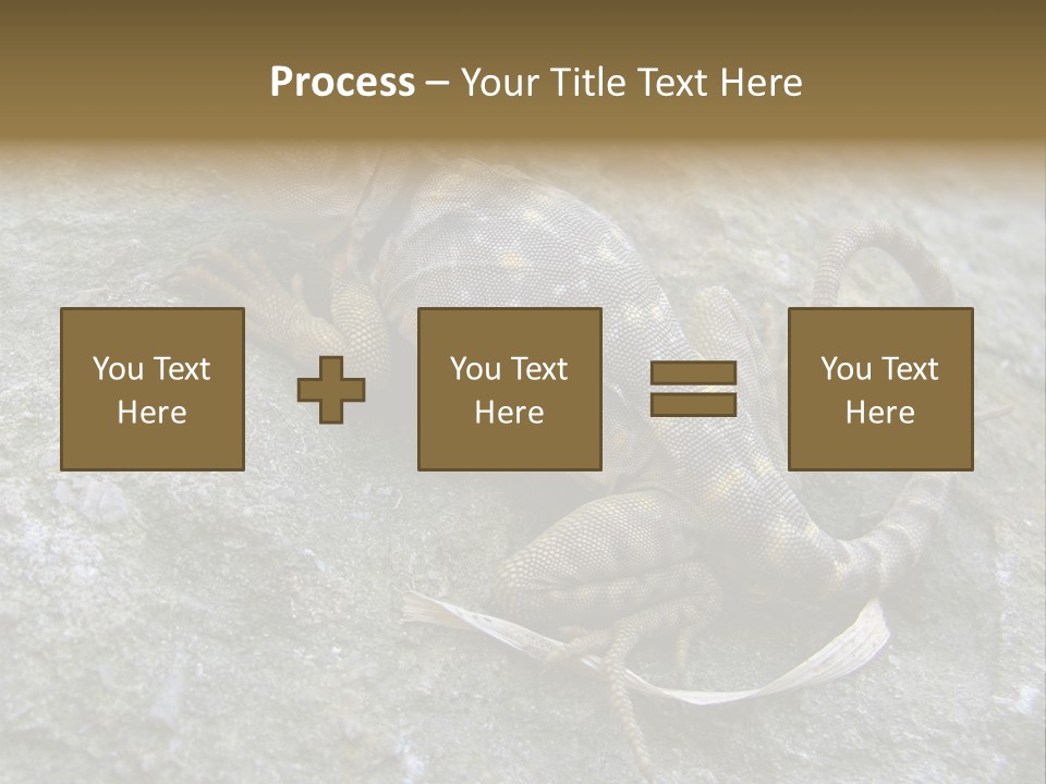 Tail Lizard Crotaphytus Collaris PowerPoint Template