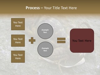Tail Lizard Crotaphytus Collaris PowerPoint Template