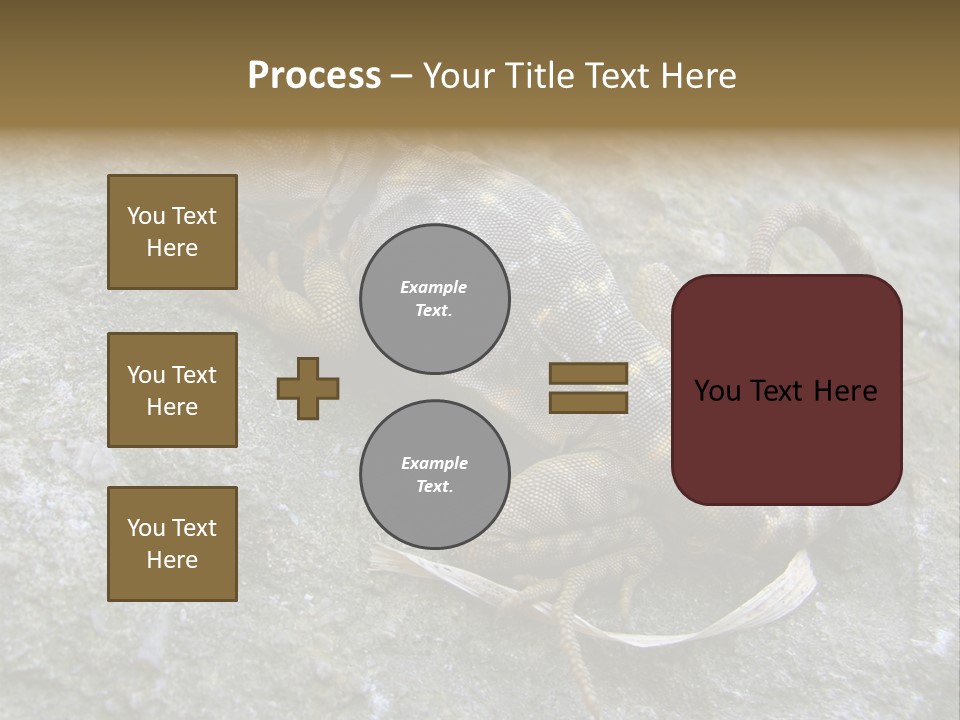 Tail Lizard Crotaphytus Collaris PowerPoint Template