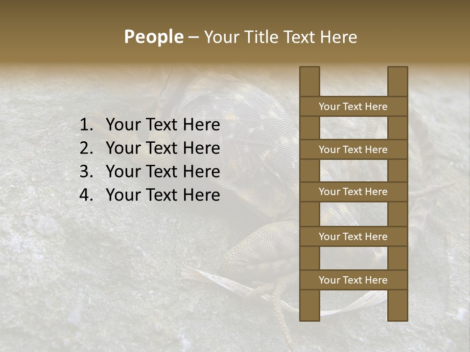 Tail Lizard Crotaphytus Collaris PowerPoint Template