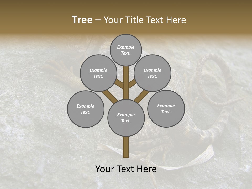 Tail Lizard Crotaphytus Collaris PowerPoint Template