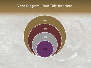 Tail Lizard Crotaphytus Collaris PowerPoint Template