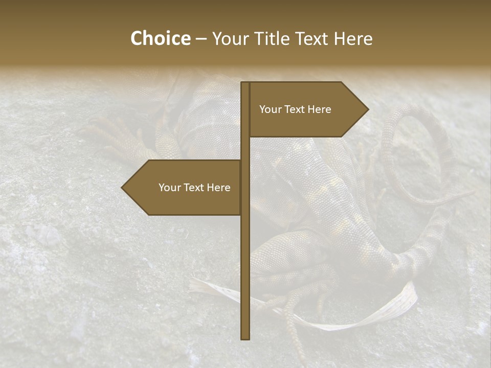 Tail Lizard Crotaphytus Collaris PowerPoint Template