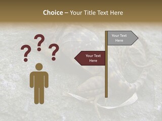 Tail Lizard Crotaphytus Collaris PowerPoint Template