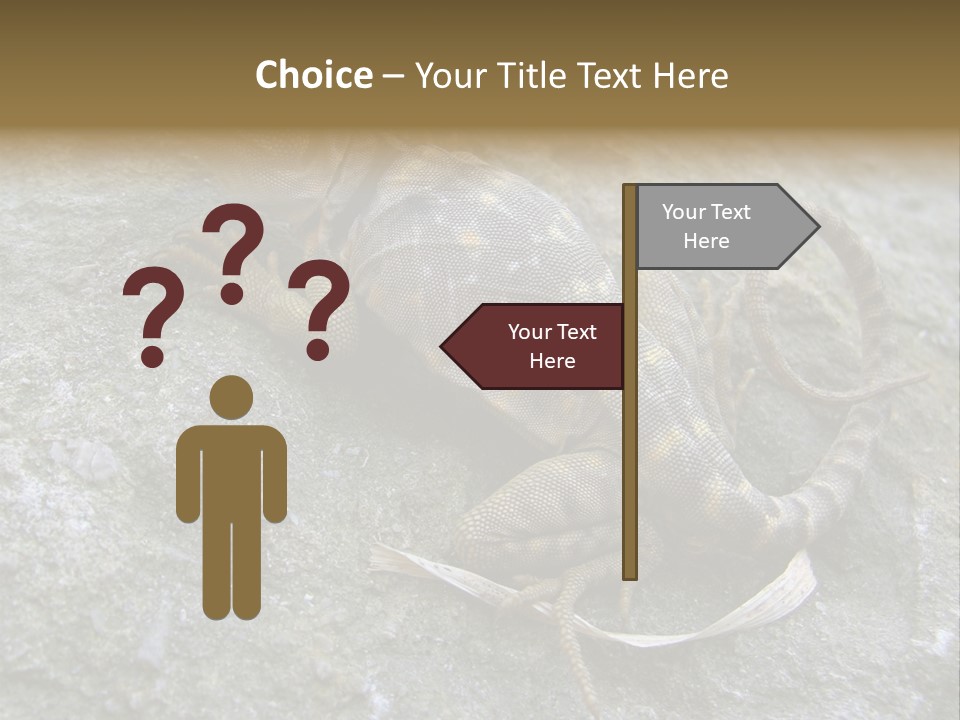 Tail Lizard Crotaphytus Collaris PowerPoint Template