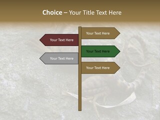 Tail Lizard Crotaphytus Collaris PowerPoint Template