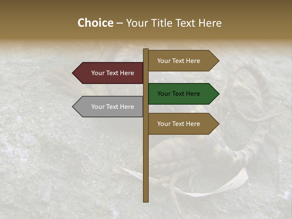 Tail Lizard Crotaphytus Collaris PowerPoint Template