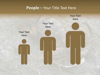 Tail Lizard Crotaphytus Collaris PowerPoint Template