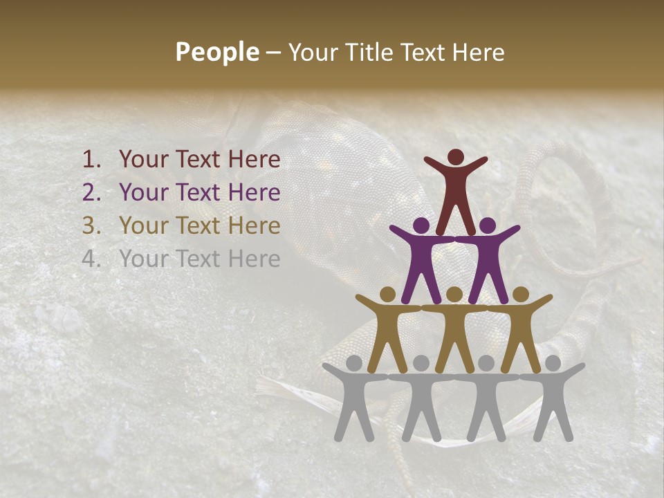 Tail Lizard Crotaphytus Collaris PowerPoint Template