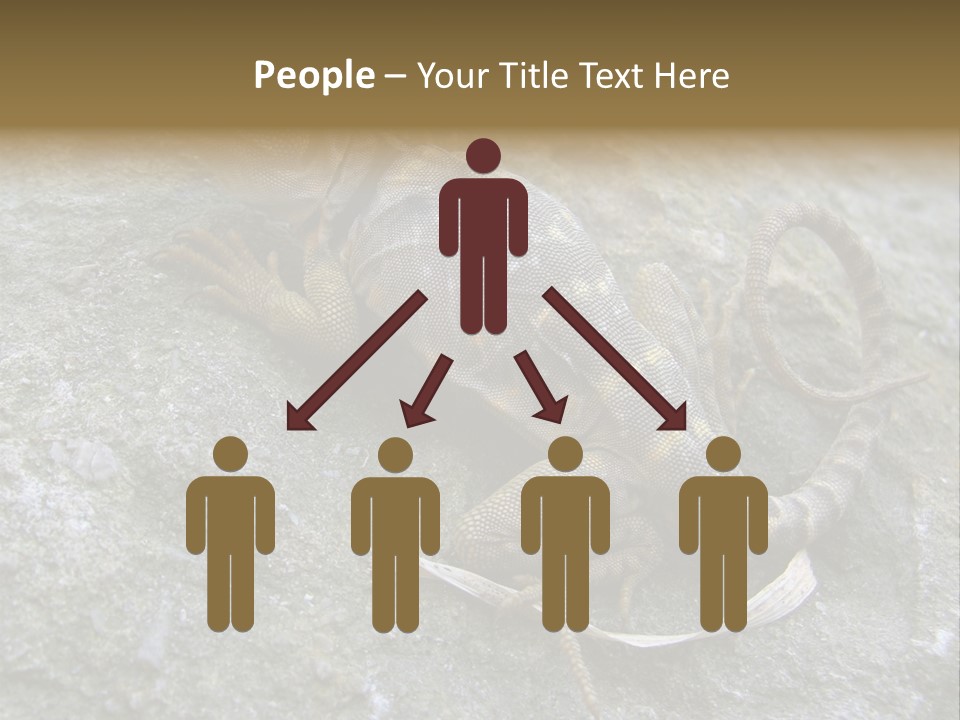 Tail Lizard Crotaphytus Collaris PowerPoint Template