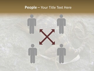 Tail Lizard Crotaphytus Collaris PowerPoint Template