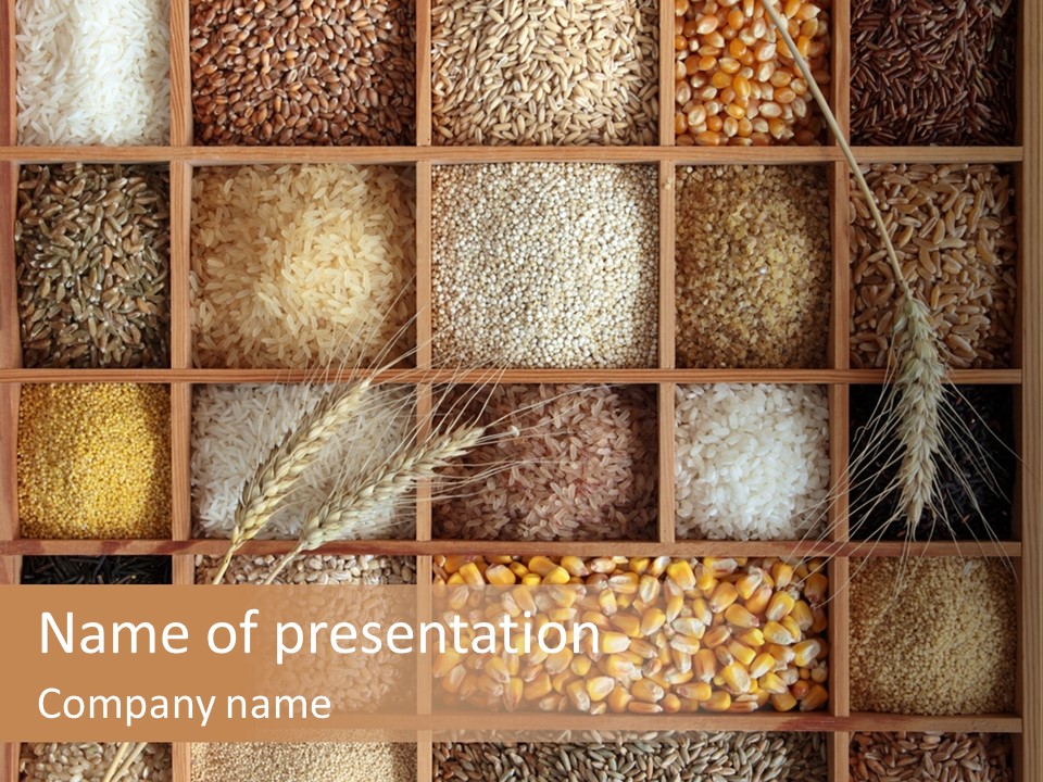 Quinoa Wooden Wheat PowerPoint Template