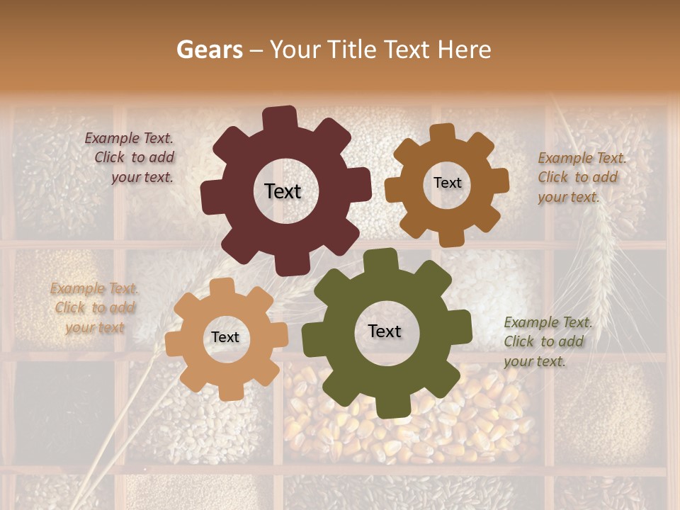 Quinoa Wooden Wheat PowerPoint Template