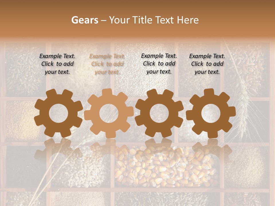 Quinoa Wooden Wheat PowerPoint Template