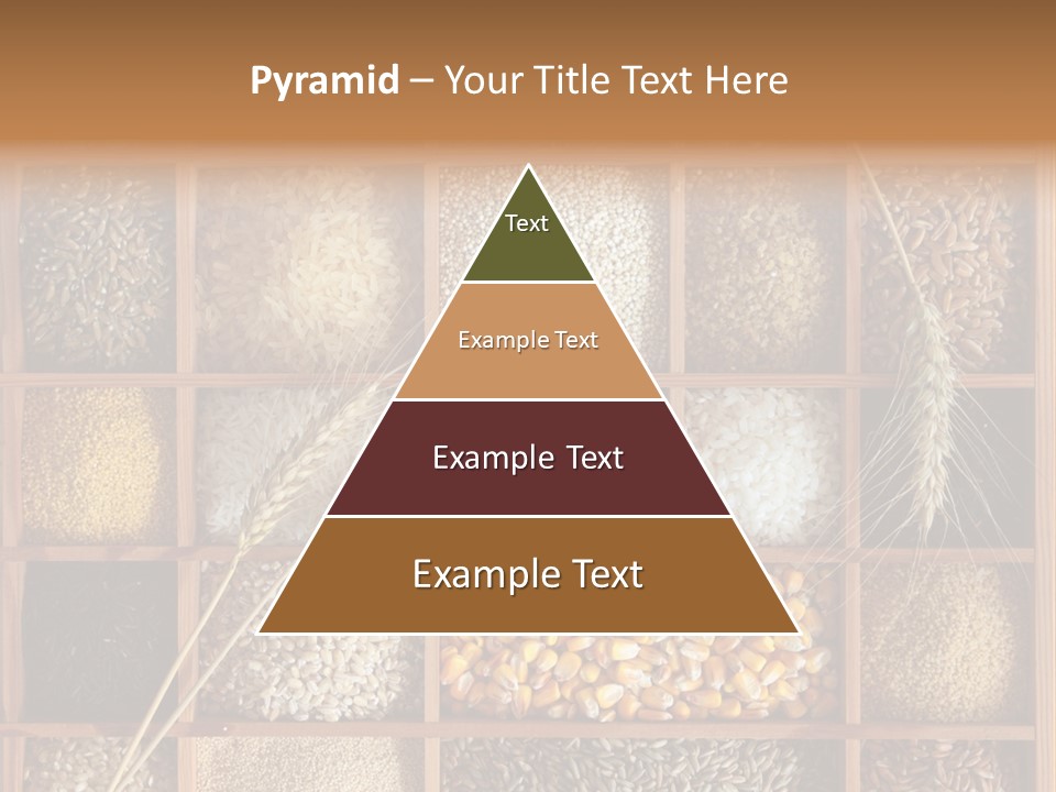 Quinoa Wooden Wheat PowerPoint Template