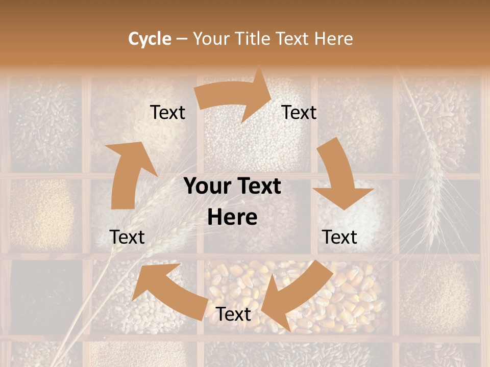 Quinoa Wooden Wheat PowerPoint Template