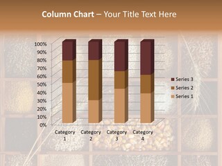 Quinoa Wooden Wheat PowerPoint Template