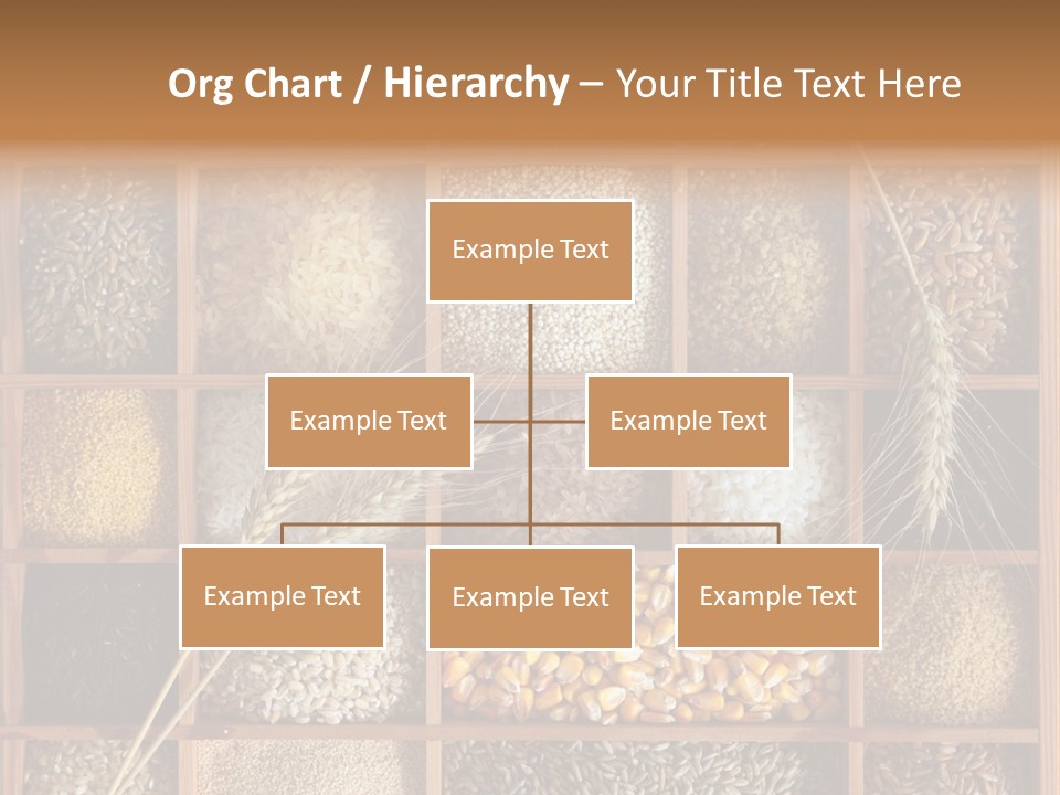 Quinoa Wooden Wheat PowerPoint Template