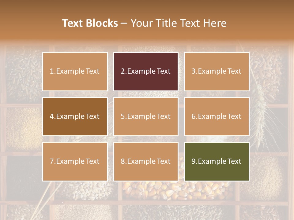 Quinoa Wooden Wheat PowerPoint Template