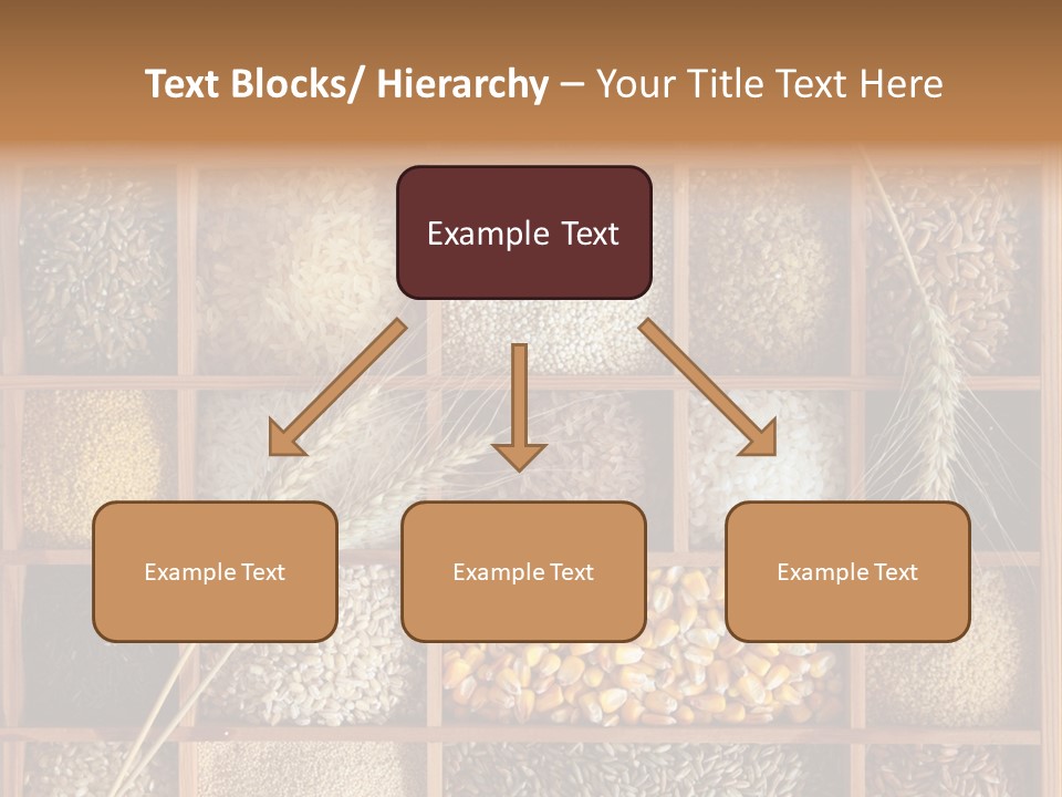 Quinoa Wooden Wheat PowerPoint Template