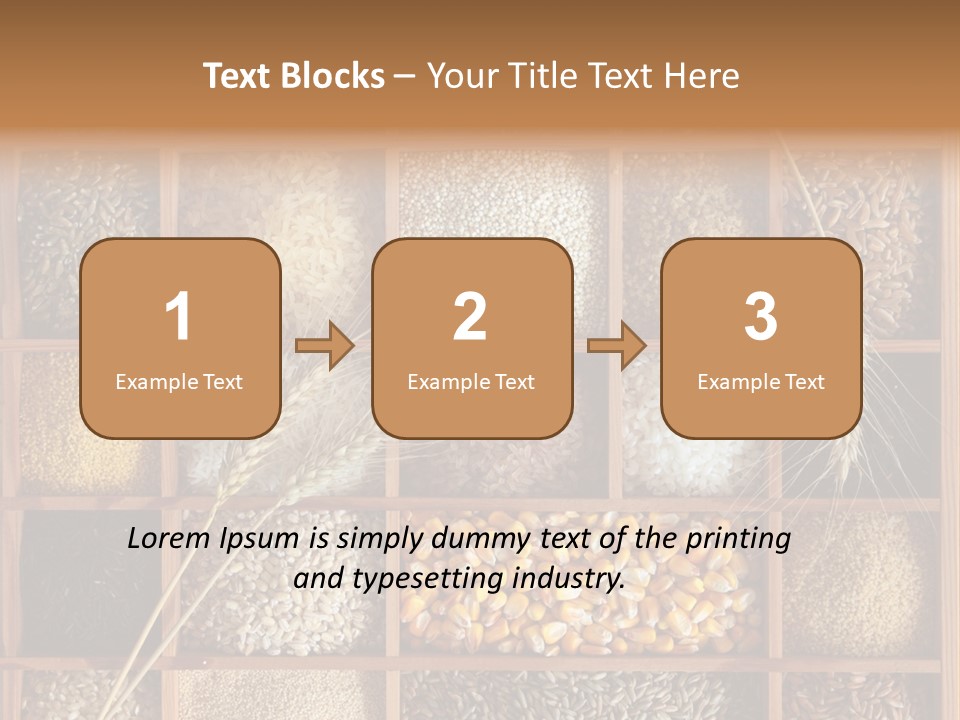 Quinoa Wooden Wheat PowerPoint Template