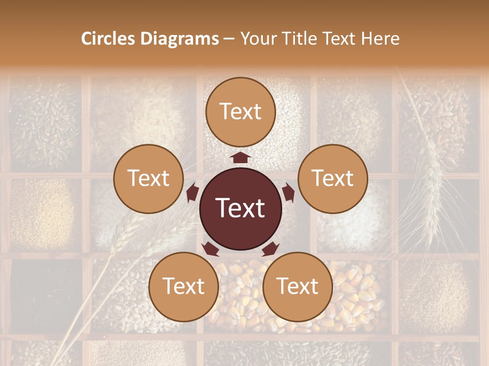 Quinoa Wooden Wheat PowerPoint Template