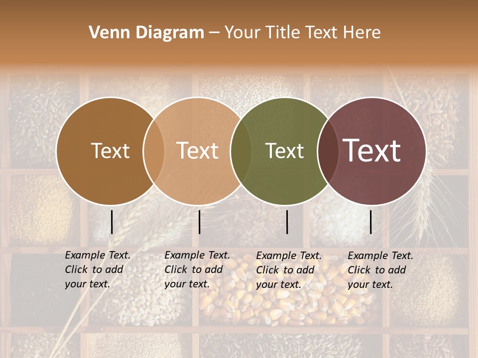 Quinoa Wooden Wheat PowerPoint Template