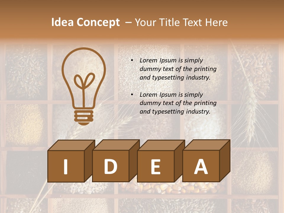 Quinoa Wooden Wheat PowerPoint Template