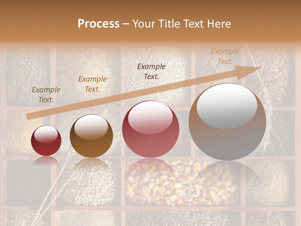 Quinoa Wooden Wheat PowerPoint Template