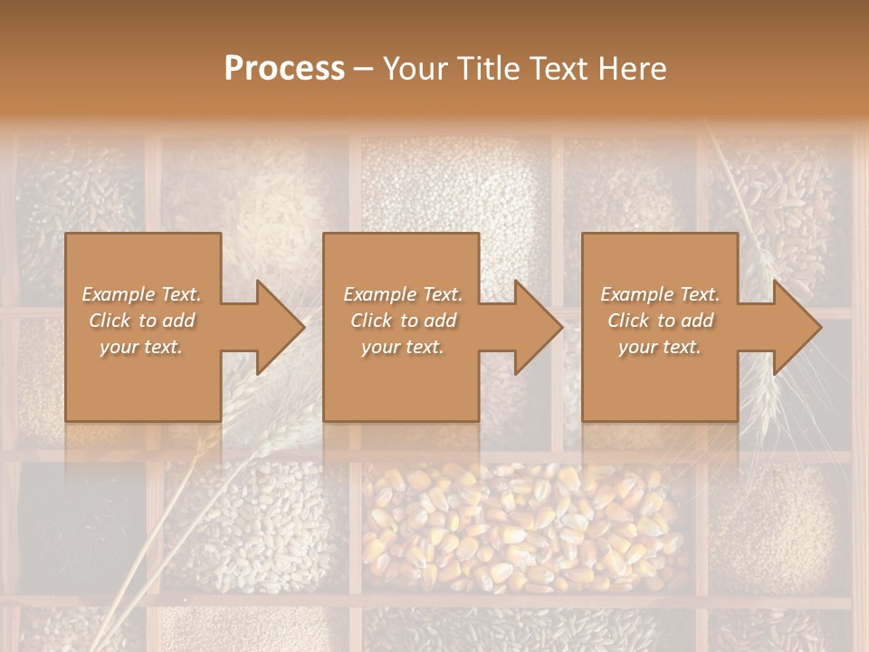 Quinoa Wooden Wheat PowerPoint Template