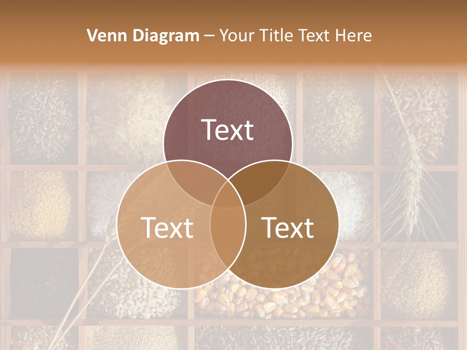 Quinoa Wooden Wheat PowerPoint Template