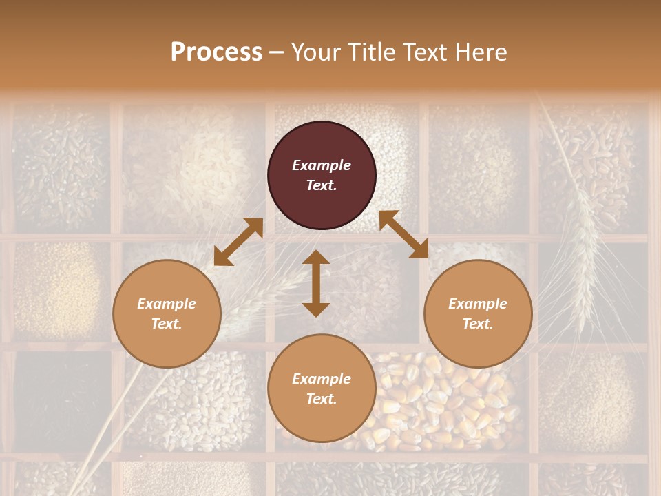 Quinoa Wooden Wheat PowerPoint Template