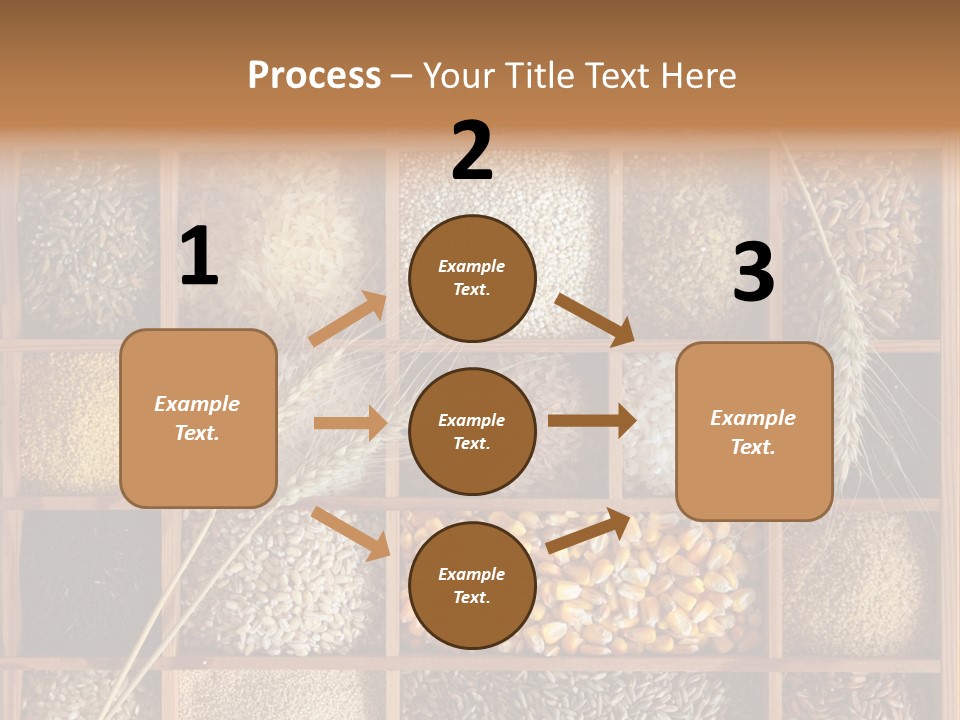 Quinoa Wooden Wheat PowerPoint Template